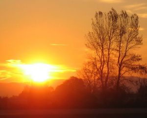 Preview wallpaper decline, sun, light, evening, tree, branches, horizon, orange