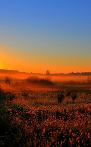 Preview wallpaper decline, sun, lighting, field, orange
