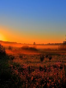 Preview wallpaper decline, sun, lighting, field, orange