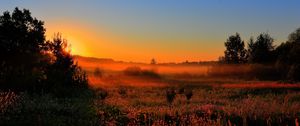 Preview wallpaper decline, sun, lighting, field, orange