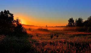 Preview wallpaper decline, sun, lighting, field, orange