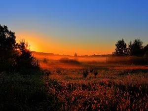 Preview wallpaper decline, sun, lighting, field, orange