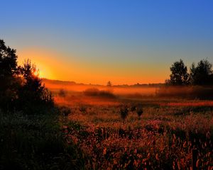 Preview wallpaper decline, sun, lighting, field, orange