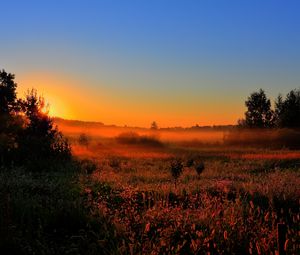 Preview wallpaper decline, sun, lighting, field, orange