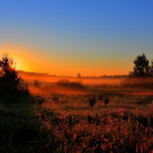 Preview wallpaper decline, sun, lighting, field, orange