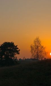 Preview wallpaper decline, sun, slope, trees, grass