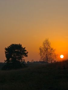 Preview wallpaper decline, sun, slope, trees, grass