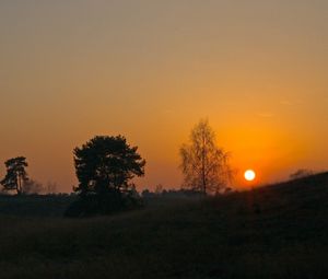 Preview wallpaper decline, sun, slope, trees, grass