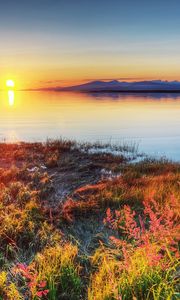 Preview wallpaper decline, sun, wedge, birds, autumn, coast, grass