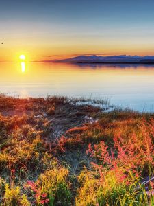 Preview wallpaper decline, sun, wedge, birds, autumn, coast, grass