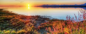 Preview wallpaper decline, sun, wedge, birds, autumn, coast, grass