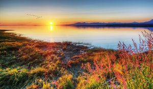 Preview wallpaper decline, sun, wedge, birds, autumn, coast, grass