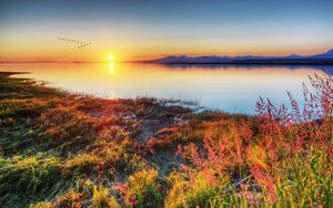 Preview wallpaper decline, sun, wedge, birds, autumn, coast, grass