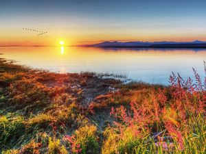 Preview wallpaper decline, sun, wedge, birds, autumn, coast, grass