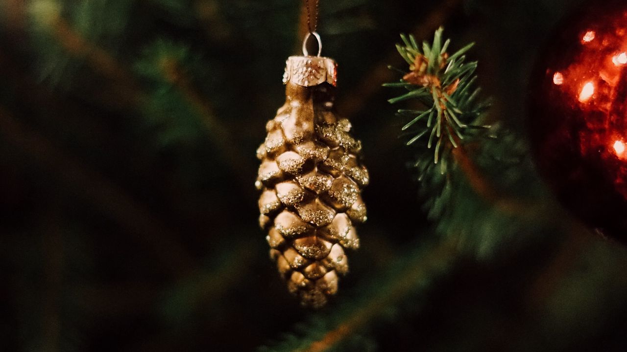 Wallpaper decoration, pine cone, tree, new year, christmas