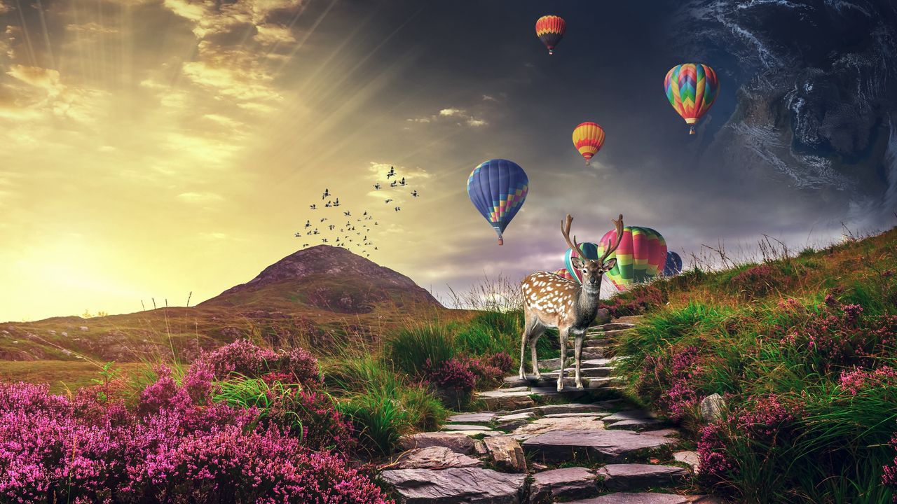 Wallpaper deer, air balloons, photoshop