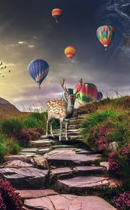 Preview wallpaper deer, air balloons, photoshop