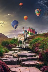 Preview wallpaper deer, air balloons, photoshop