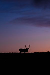 Preview wallpaper deer, animal, silhouette, twilight