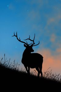 Preview wallpaper deer, antlers, silhouette, stars, dusk, art