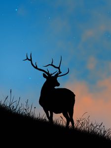 Preview wallpaper deer, antlers, silhouette, stars, dusk, art