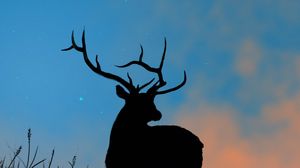 Preview wallpaper deer, antlers, silhouette, stars, dusk, art