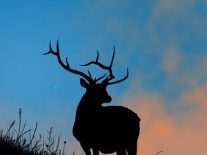 Preview wallpaper deer, antlers, silhouette, stars, dusk, art