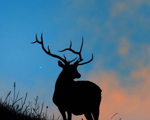 Preview wallpaper deer, antlers, silhouette, stars, dusk, art