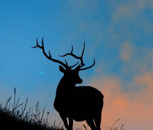Preview wallpaper deer, antlers, silhouette, stars, dusk, art