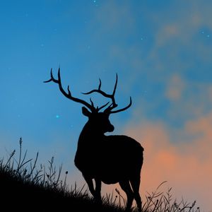 Preview wallpaper deer, antlers, silhouette, stars, dusk, art