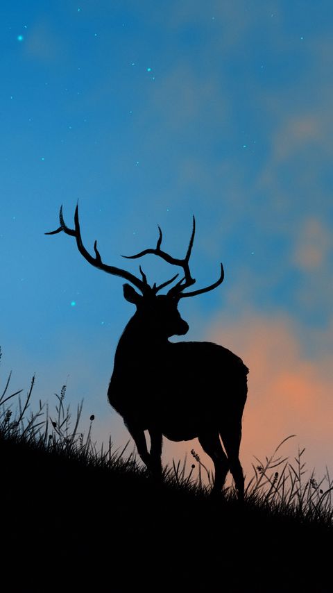 Red deer stag silhouette Wall Mural Wallpaper | Canvas Art Rocks – Canvas  Art Rocks US