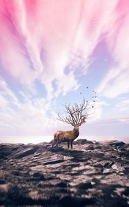 Preview wallpaper deer, art, photoshop, sea, shore, sky