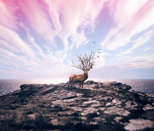 Preview wallpaper deer, art, photoshop, sea, shore, sky