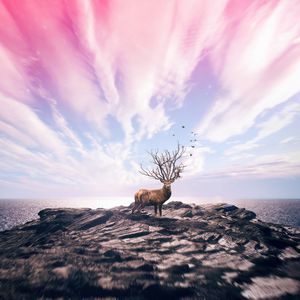 Preview wallpaper deer, art, photoshop, sea, shore, sky