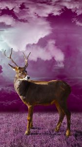 Preview wallpaper deer, clouds, photoshop, grass