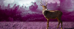Preview wallpaper deer, clouds, photoshop, grass