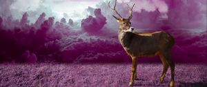 Preview wallpaper deer, clouds, photoshop, grass