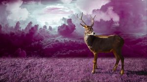 Preview wallpaper deer, clouds, photoshop, grass