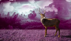 Preview wallpaper deer, clouds, photoshop, grass