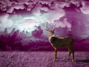 Preview wallpaper deer, clouds, photoshop, grass