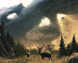 Preview wallpaper deer, dees, horns, trees, sun, art