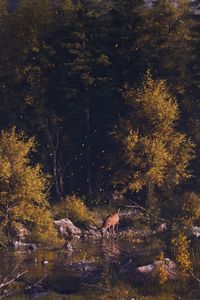 Preview wallpaper deer, forest, art, river, landscape, wildlife