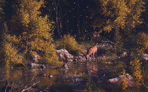 Preview wallpaper deer, forest, art, river, landscape, wildlife