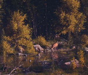 Preview wallpaper deer, forest, art, river, landscape, wildlife