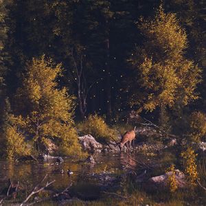 Preview wallpaper deer, forest, art, river, landscape, wildlife