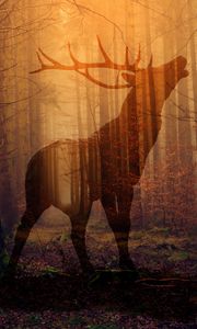 Preview wallpaper deer, forest, fog, silhouette, autumn