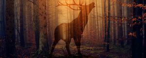 Preview wallpaper deer, forest, fog, silhouette, autumn