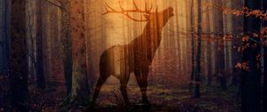 Preview wallpaper deer, forest, fog, silhouette, autumn