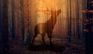 Preview wallpaper deer, forest, fog, silhouette, autumn
