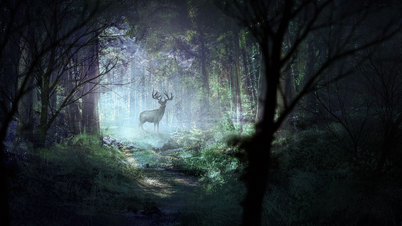 Wallpaper deer, forest, light, art, wildlife
